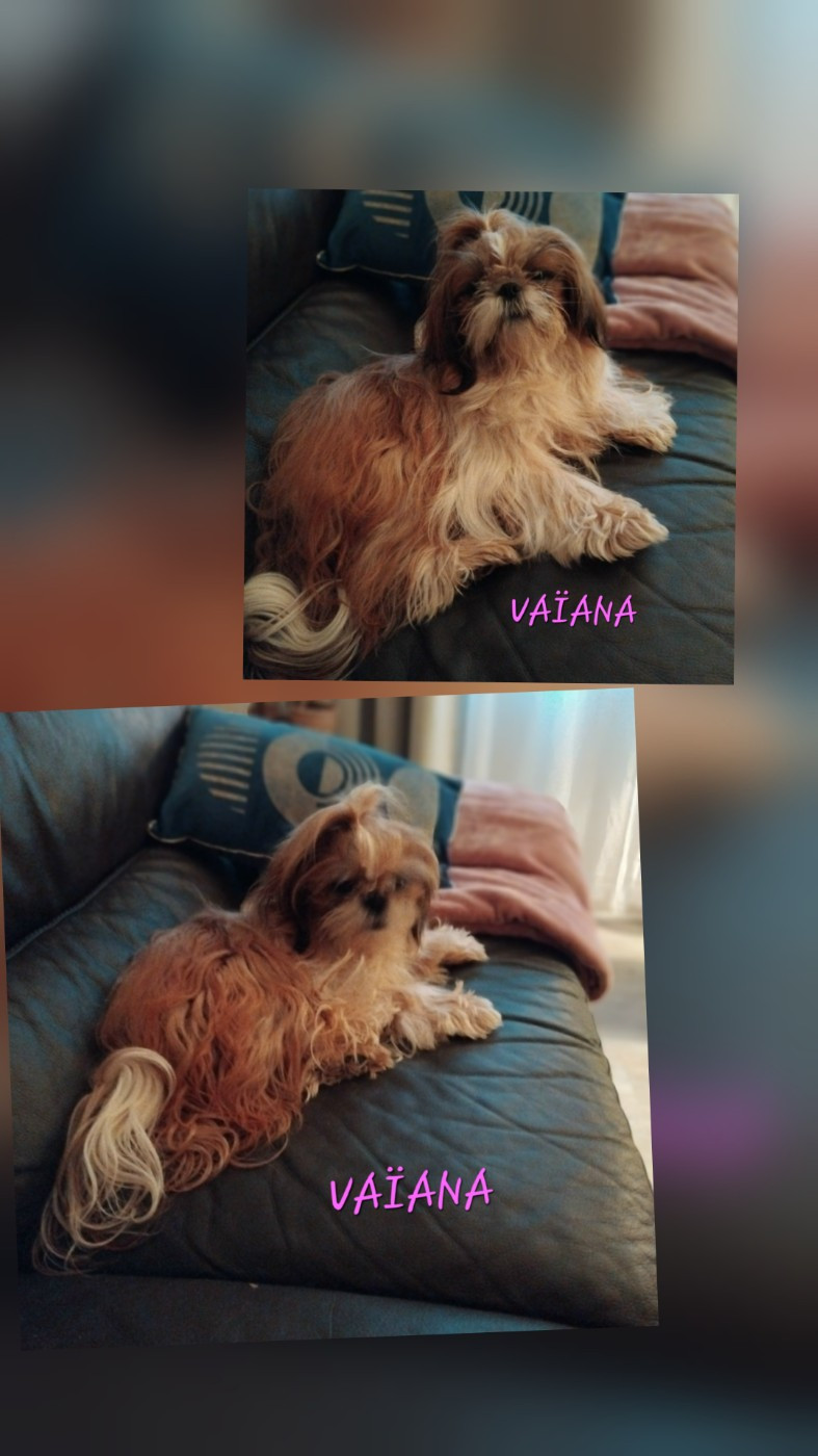 VAÏANA Titre Initial